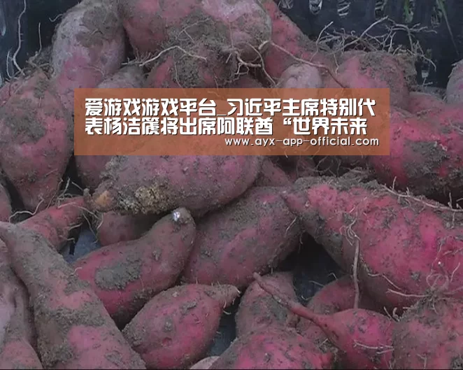 爱游戏游戏平台_习近平主席特别代表杨洁篪将出席阿联酋“世界未来能源峰会”(图4) 爱游戏官网