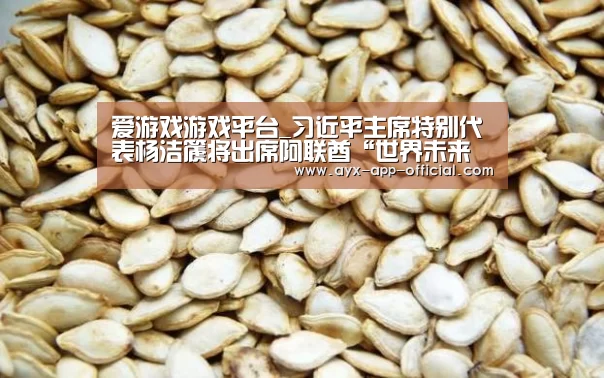 爱游戏游戏平台_习近平主席特别代表杨洁篪将出席阿联酋“世界未来能源峰会”(图2) 爱游戏APP下载