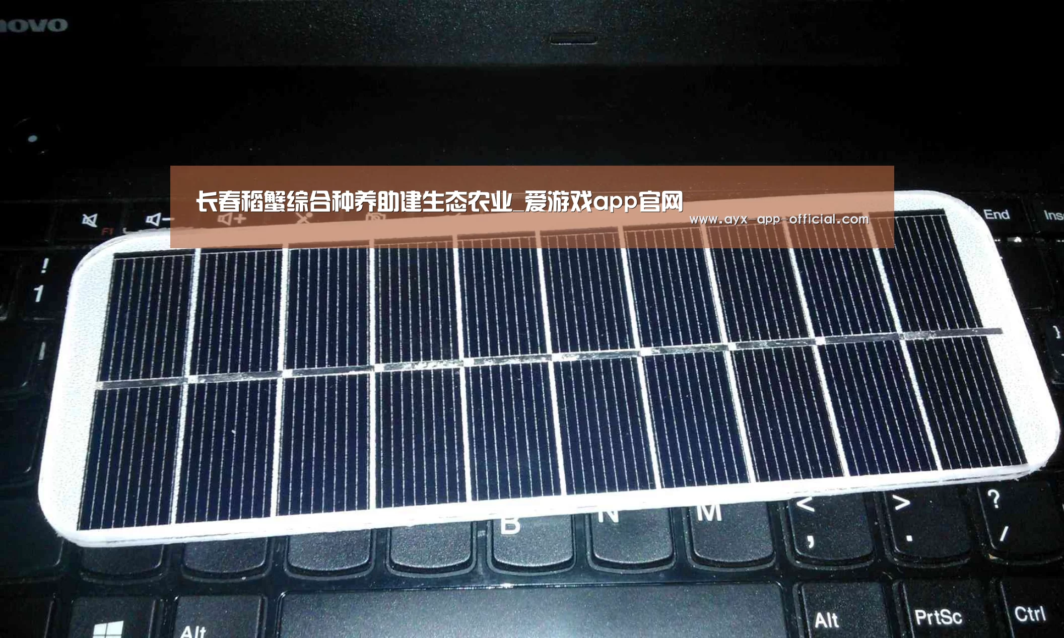 爱游戏app官网