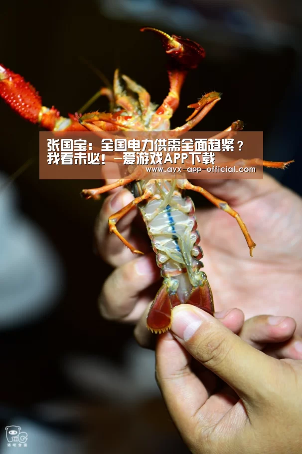 张国宝：全国电力供需全面趋紧？我看未必！-爱游戏APP下载