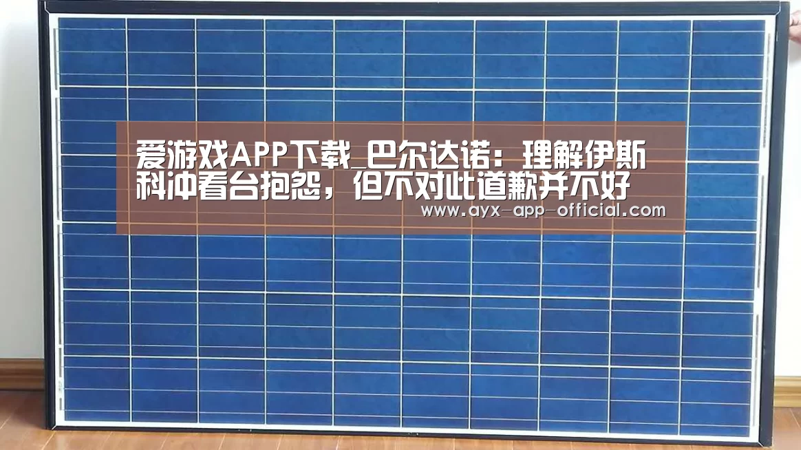爱游戏APP下载_巴尔达诺:理解伊斯科冲看台抱怨,但不对此道歉并不好(图2) 爱游戏app官网
